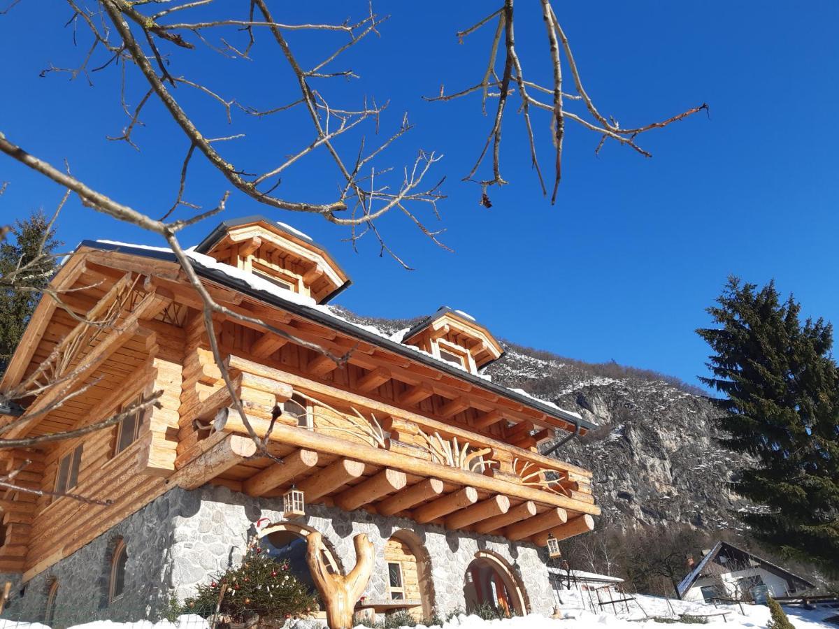 Natur Apartma Rudi Begunje na Gorenjskem Exteriér fotografie