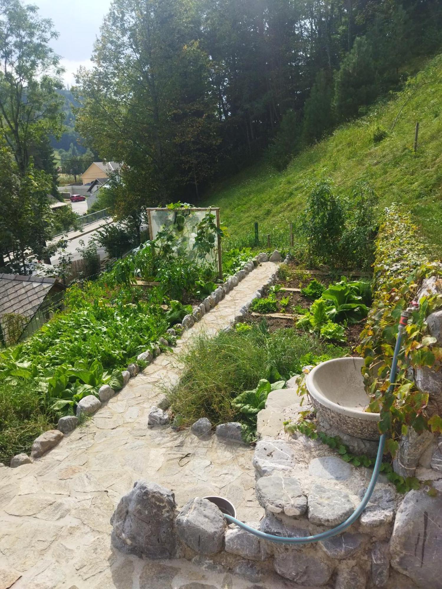 Natur Apartma Rudi Begunje na Gorenjskem Exteriér fotografie